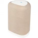 Bluesound Pulse Flex (2025)