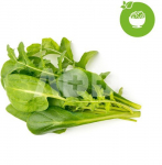 Click & Grow Plant Pod Salad Mix 9pcs