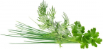 Click & Grow Plant Pod Classic Garnish Mix 9pcs