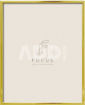 Focus Lily Gold 20x25