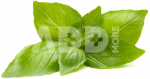 Click & Grow Smart Refill Lemon Basil 3pcs