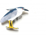 Ženkliukas BLACK-CROWNED NIGHT HERON / Naktikovas