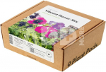 Click & Grow Plant Pod Vibrant Flower 9pcs