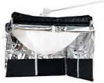 amaran Lantern for F21