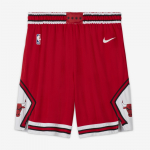 Nike Nba Chicago Bulls Icon Edition Dri-Fit Swingman &Scaron;ortai - Dydis M (AJ5593-657 &Scaron;ortai)