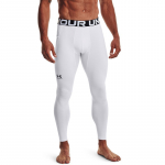 Under Armour UA CG Leggings - Dydis M (1366075-100 Timpos)