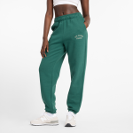 New Balance Wmns 500 - Dydis S (WP43500NWG )