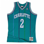 Mitchell & Ness NBA Swingman Jerseys Charlotte Hornets - Dydis Larry Johnson #2 (SMJYGS18147-CHOTEAL9 Mar&scaron;kinėliai)
