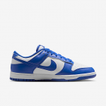Nike Dunk Low Retro Niebieskie - Dydis 43 (HF5441-112 Laisvalaikio batai)