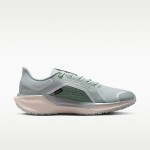 Nike Pegasus 41 GORE-TEX - Dydis 43 (FQ1356-007 Bėgimo bateliai)