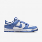 Nike Dunk Low Retro - Dydis 45 (DV0833-400 Laisvalaikio batai)