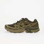 Salomon XT-EVR GTX Olive Night/ Aloe/ Black 44 - Dydis 46 (L47714200 Laisvalaikio batai)