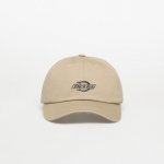 Dickies Essential Dad Cap Desert Sand (DK0A4Z6N0DS1 Kitos kepurės)