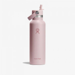 Hydro Flask 621ml Standard Flex Straw Cap Trillium - Dydis Universalus (S21CFS678 Gertuvės)
