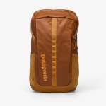 Patagonia Black Hole Pack 25L Cinnamon Brown - Dydis Universalus (49298 CIBN Kuprinės)
