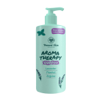 PRESENT SKIN AROMATHERAPY plaukų &scaron;ampūnas, 500 ml