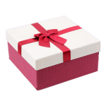 Dovanų dėžutė (16,8x8,3x16,8 cm)