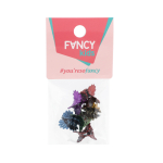 FANCY KIDS plaukų žnypliukai (6 vnt.)