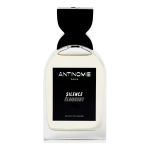 ANTINOMIE SILENCE ELOQUENT parfumuotas vanduo, 100 ml
