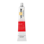 YELLOW COLOR PERMANENT plaukų dažai, 100 ml - 9.32