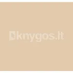 Spalvotas kartonas A1/160g smėlio sp.