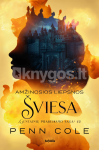 Amžinosios Liepsnos &scaron;viesa