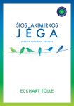 &Scaron;IOS AKIMIRKOS JĖGA: dvasios nu&scaron;vitimo vadovas
