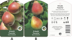 Vaismedis, kriau&scaron;ė &ldquo;Favourite&rdquo; (Pyrus communis)