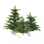 Dirbtinė eglė vazone NOVELLY HOME H057, auk&scaron;tis 45 cm