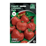 Bra&scaron;kių daigai (frigo) Vima Zanta A, 3 vnt. pakuotėje