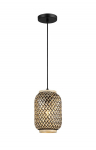 Pakabinamas &scaron;viestuvas RABALUX Adalla 72091, E27 1 x MAX 40W, skersmuo 170 mm, atstumas nuo lubų 180