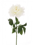 Dirbtinė gėlė bijūnas NOVELLY HOME DY1-2280, baltos sp., auk&scaron;tis - 72 cm
