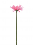 Dirbtinė gėlė gerbera NOVELLY HOME FP-3290/GA/R, rožinės sp., auk&scaron;tis - 59 cm