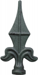 Apvalus antgalis, L06Ag024