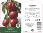Vaismedis, nektarinas &ldquo;Harco&rdquo; (Prunus persica var. nucipersica)
