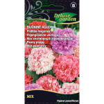 Gėlių sėklos, bijūninė aguona, 0,3 g., 9011, B