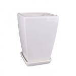 Keramikinis vazonas PAPARTIS 1, su lėk&scaron;tute