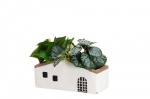 Lauko vazonas 4Living NAMAS, baltos sp., 24,5 x 10 x 12 cm.