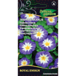 Gėlių sėklos, trispalvis vijoklis Royal Ensign, 1 g., 8939, A