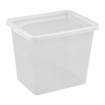 Daiktadėžė PLAST TEAM Basic Box, su dangčiu, skaidri, 42,5 x 34,7 x 33 cm, 31 l