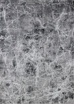 Kilimas RICCO Elite, 140 x 190 cm, polipropilenas/poliesteris, pilkos spalvos (4355), 11B-1S1419, Tu