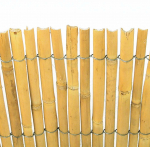 Uždanga i&scaron; jauno bambuko NORTENE, 150 x 500 cm