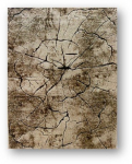 Kilimas RICCO Miami, 120 x 180 cm, polipropilenas/poliesteris, smėlio spalvos (0129), 15B-1B1218, Tu