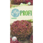 Daržovių sėklos, sėjamosios salotos Anthony, 20 s., 9080, I