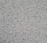 Skysti tapetai SILKPLASTER Sand 133