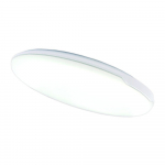 Lubinis LED &scaron;viestuvas TOPE Riga, 24 W, 3000/6000K, 220-240V, 2520 lm, IP54, 290 x 50 mm
