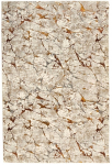 Kilimas LIONA 14907 S10, 140 x 200 cm, 100% polipropilenas