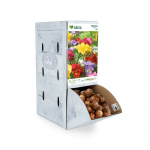 Paprastosios frezijos svogūnėlis ASEJA Mix, 1 vnt., 5/+, Rackbox, 14691, (P)