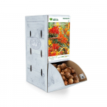Montbretės svogūnėlis ASEJA Mix, 1 vnt., 6/+, Rackbox, 14714, (P)