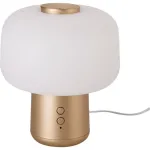 Kvapų difuzorius, 150 x 174 mm, talpa 15ml, USB jungtis